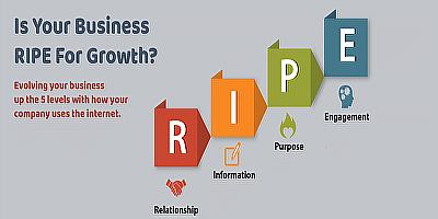 Infographic - RIPE - 4 Paths to Web based Leadership